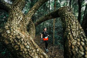 BIB: 
                            <button type="button" onclick="openModal(25394300)" class="btn btn-primary btn-sm float-right btn-popup" data-toggle="modal" data-target=".modal-high-quality">
                        <i class="fas fa-shopping-cart"></i> Add to Cart
                    </button>
                                            <button type="button" onclick="isThisMe(25394300, true)" class="btn btn-success btn-sm float-right btn-popup btn-isme hidden" data-toggle="tooltip" data-placement="bottom" title="นี่คือรูปของคุณใช่ไหม คลิกที่นี่เพื่อเอาเข้าอัลบั้ม">
                        <i class="fas fa-plus"></i> Add to album
                    </button>
                    <button type="button" onclick="isThisMe(25394300, false)" class="btn btn-warning btn-sm float-right btn-popup btn-isnotme hidden">
                        <i class="fas fa-ban"></i> Remove from album
                    </button>